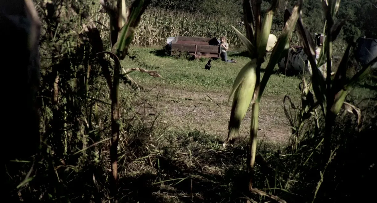 The Fields