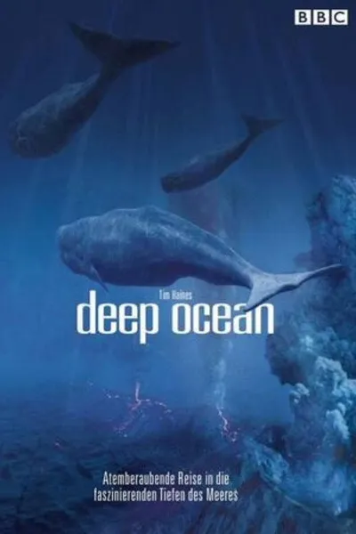 Tim Haines Deep Ocean